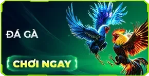 Trang chủ 10 đá gà